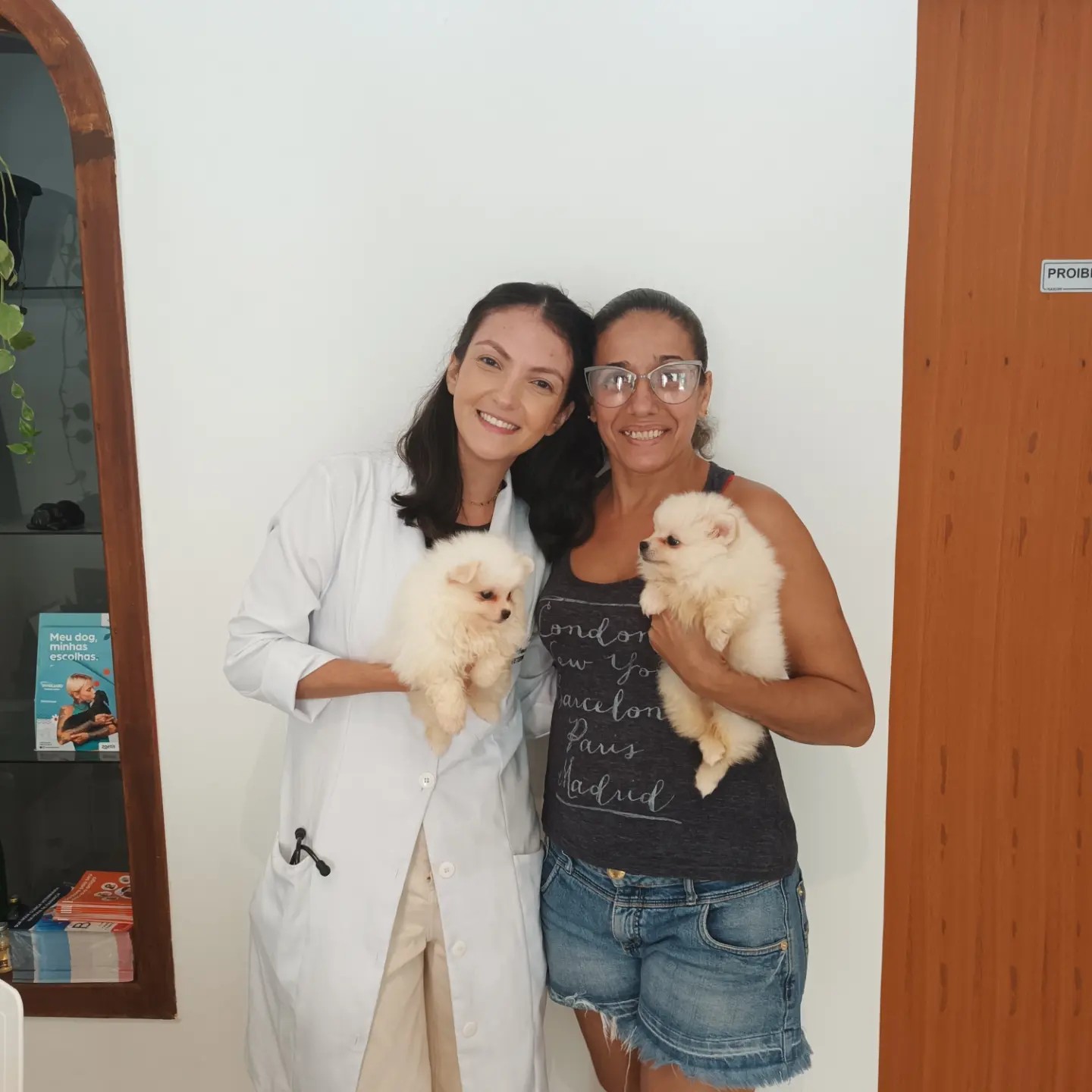 Quanto custa Spitz Alemão