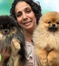 Quanto custa Spitz Alemão